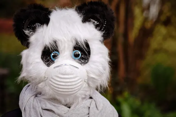 West Casino Podrška